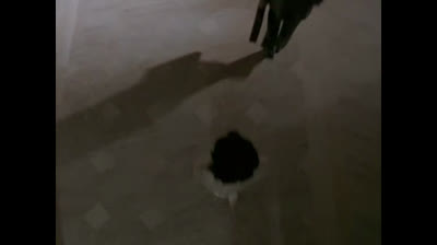 Jarod il Camaleonte 02x20 Ostaggi