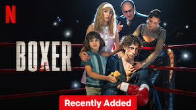Boxer- 2024