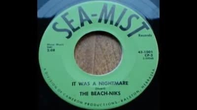 Beach-Niks (1965) - It Was a Nightmare