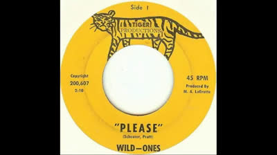Wild-Ones (1966) - Please