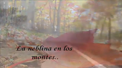 TODO DICE LO GRANDE QUE ERES TU, (ERES EL DIOS DE LAS MARAVILLAS) (LETRA) - ADORACION Y ALABANZA