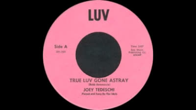 Joey Tedeschi & The Idols (1966) - True Luv Gone Astray
