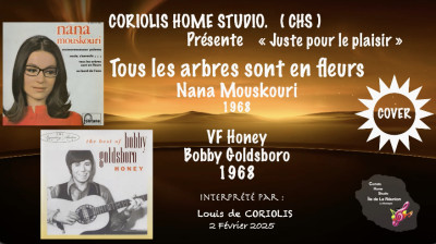 Cover de Nana Mouskouri Tous les arbres sont en fleurs Vf de Honey de Bobby Goldsboro par Louis de Coriolis