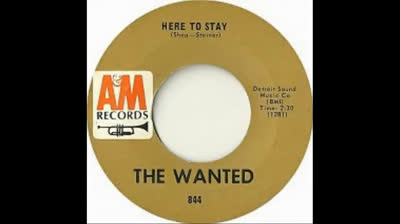 Wanted (1966) - Here to Stay